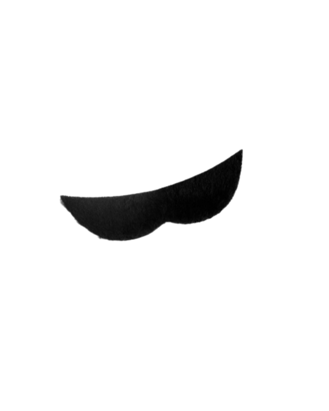 Bigote