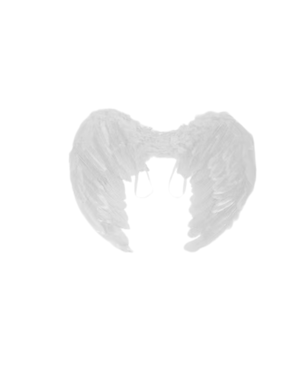 Alas De Ángel Blanca