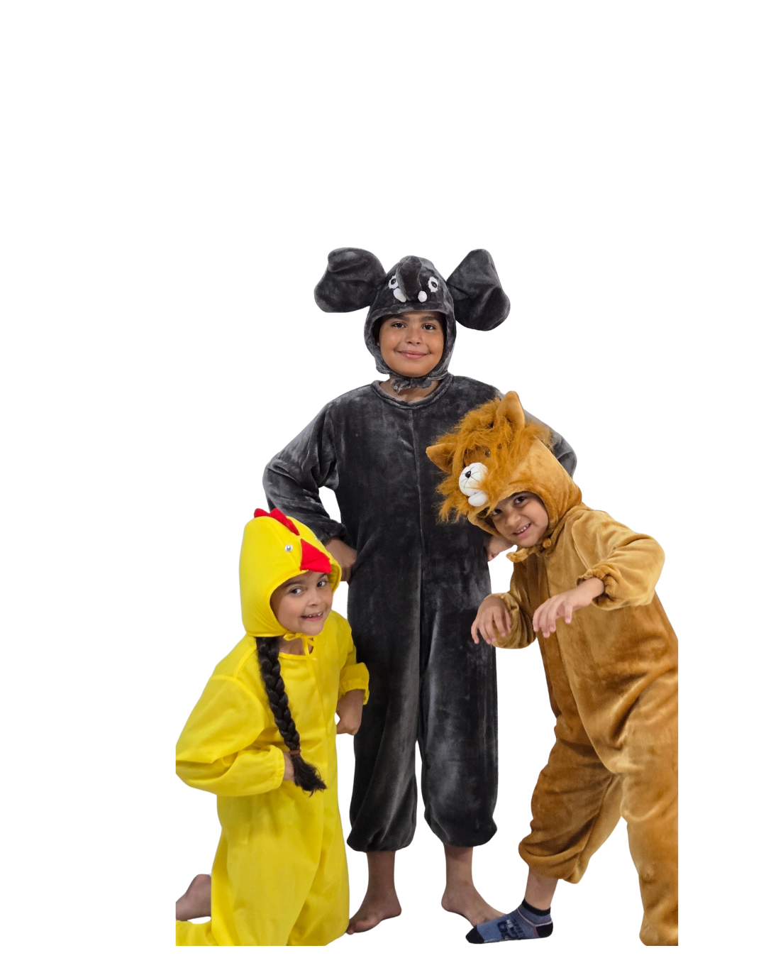 Disfraz Elefante