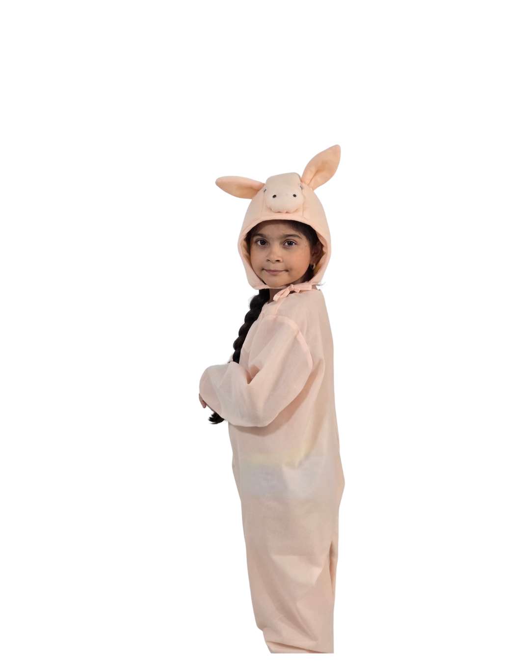 Disfraz Cerdito