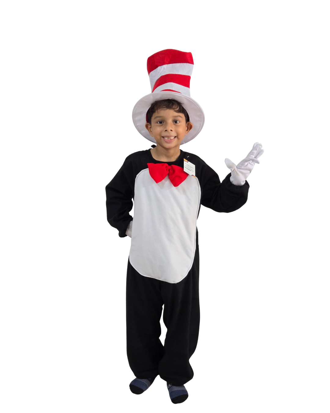 Disfraz Gato Ensombrerado