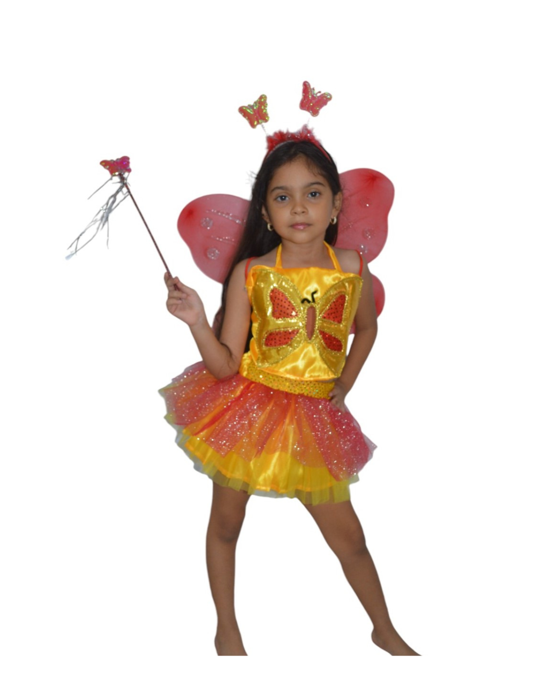 Disfraz De Mariposa